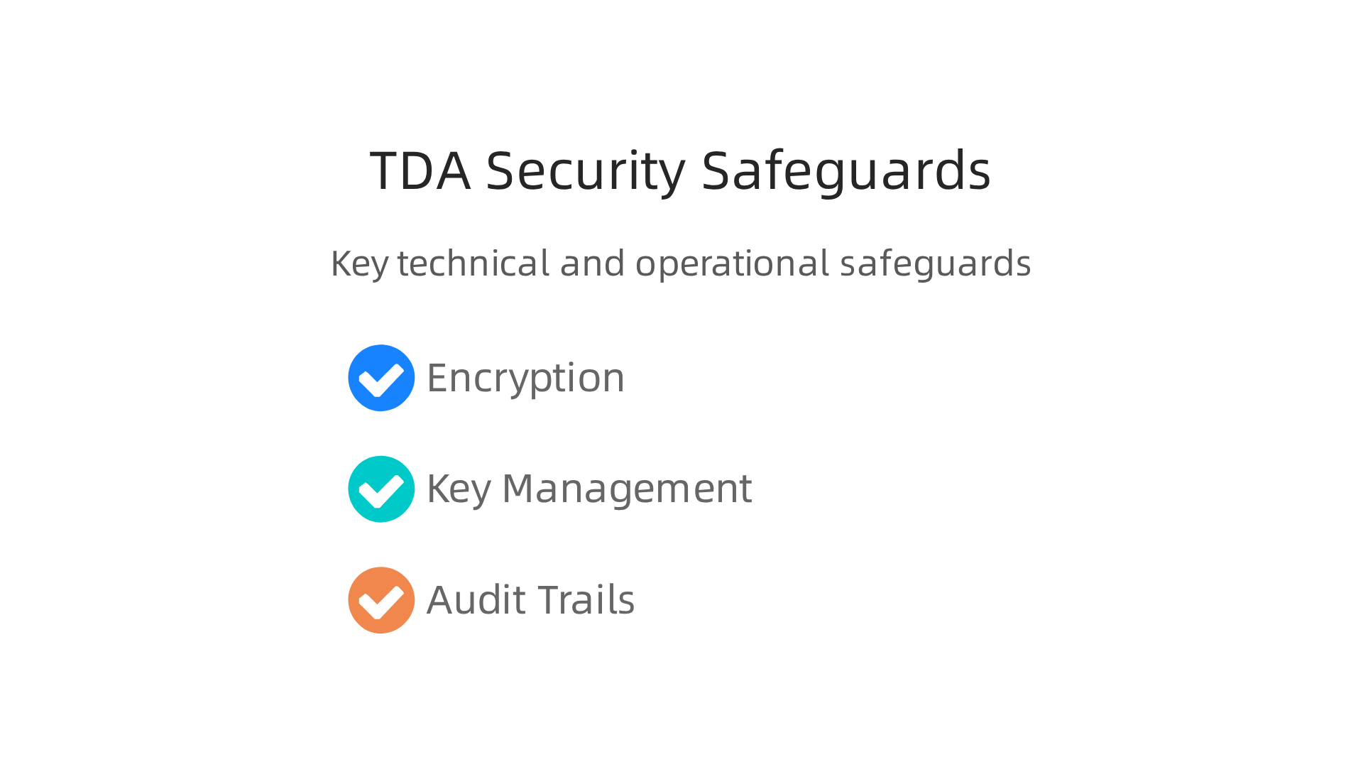 Key technical and operational safeguards employed by TDAs to ensure the highest level of data security.