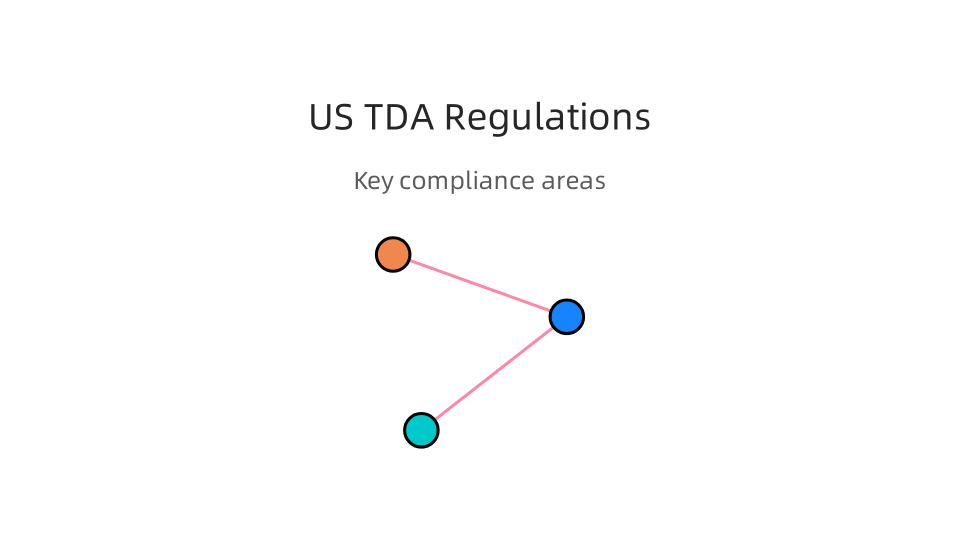 An overview of critical US regulatory and compliance areas impacting Technology Depository Agencies.