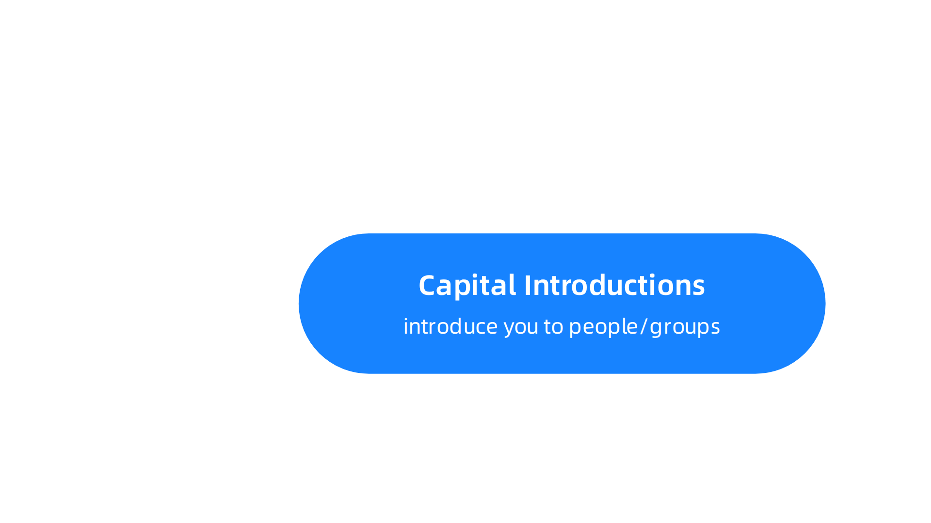 An infographic illustrating the main services offered by capital advisors, such as capital introductions and M&A advisory.