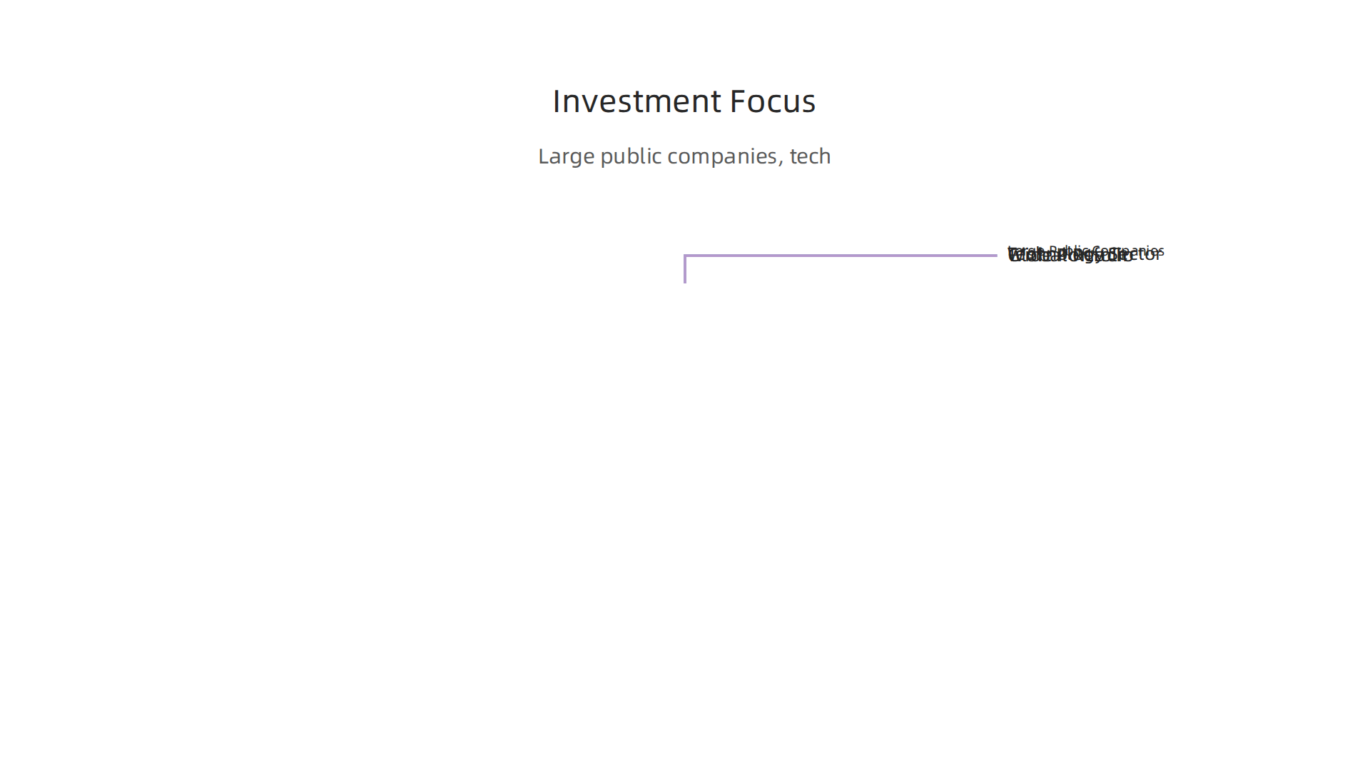 Arrowstreet Capital primarily focuses on large, publicly traded companies, with a strong emphasis on the technology sector and global equity markets.